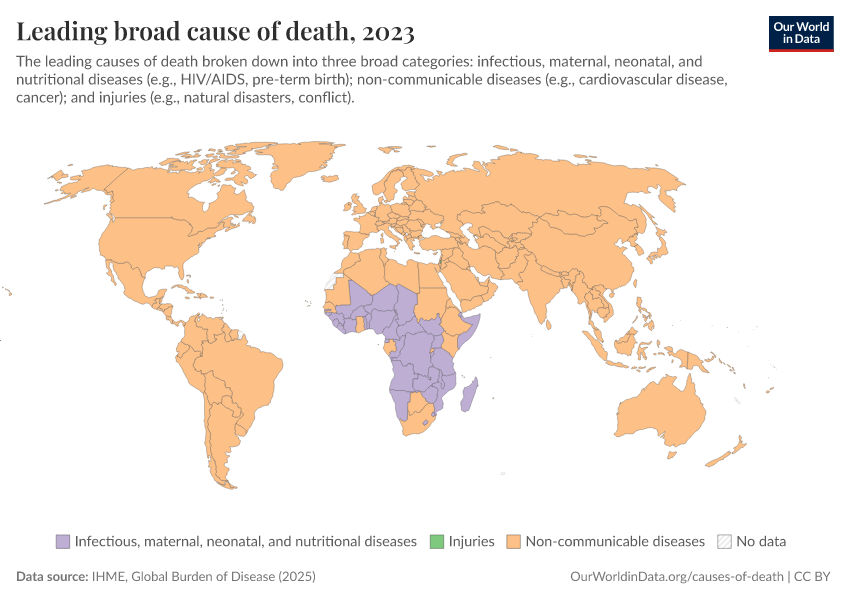 A thumbnail of the "Leading broad cause of death" chart