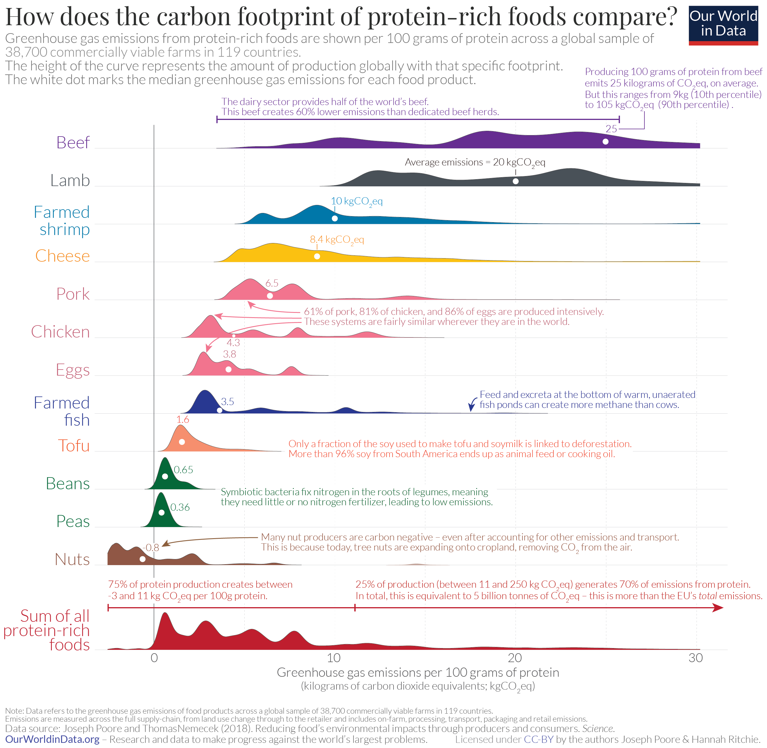 A graph comparing the greenhouse gas emissions of various protein-rich foods, measured in kilograms of carbon dioxide equivalents (kgCO2 eq) per 100 grams of protein. The chart features colorful curves representing different food items, with the height of each curve indicating the level of emissions associated with its production.

From highest to lowest emissions, the foods are arranged as follows. The bottom line is that plant-based protein sources still have a lower footprint than the lowest-impact meat products.

- Beef has the highest average emissions with 25 kgCO2 eq
- Lamb follows, with an average of around 20 kgCO2 eq.
- Farmed shrimp has an average of about 10 kgCO2 eq.
- Cheese shows emissions around 8.4 kgCO2 eq.
- Pork and chicken have averages of 6.5 kgCO2 eq and 4.3 kgCO2 eq respectively
- Eggs have emissions at around 3.8 kgCO2 eq.
- Farmed fish peak at 3.5 kgCO2 eq.
- Tofu peaks lower at about 1.6 kgCO2 eq
- Beans and peas have even lower emissions at around 0.65 kgCO2 eq and 0.4 kgCO2 eq respectively.
- Nuts have the lowest emissions at approximately 0.8 kgCO2 eq.

Sources are credited to Joseph Poore and Thomas Nemecek (2018) for the data and Our World in Data for the visualization